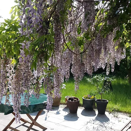 6 Schoene City- Homestay Hannover